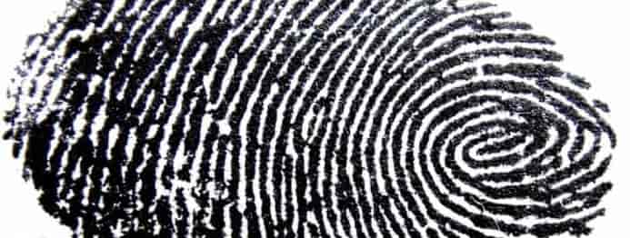Browser fingerprint